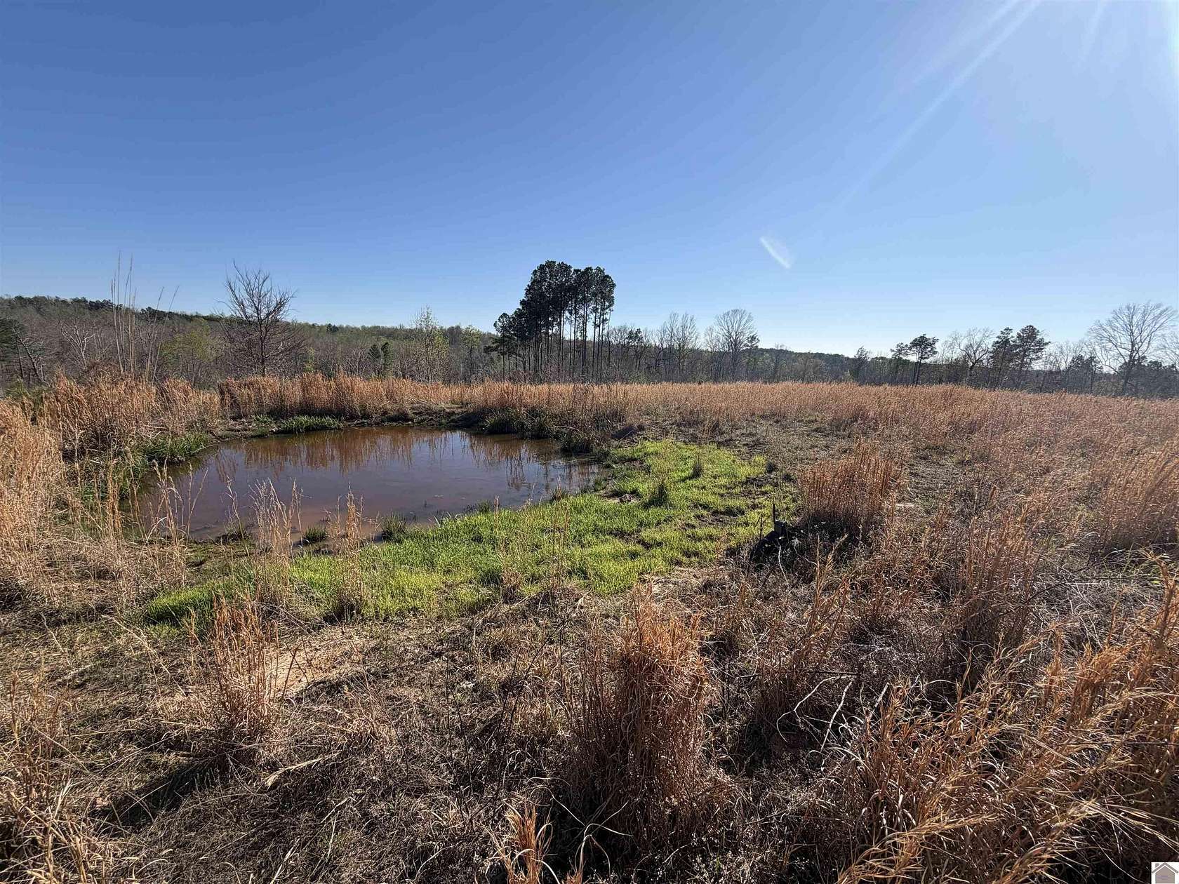 40.6 Acres of Recreational & Residential Land for Sale in Cadiz, Kentucky