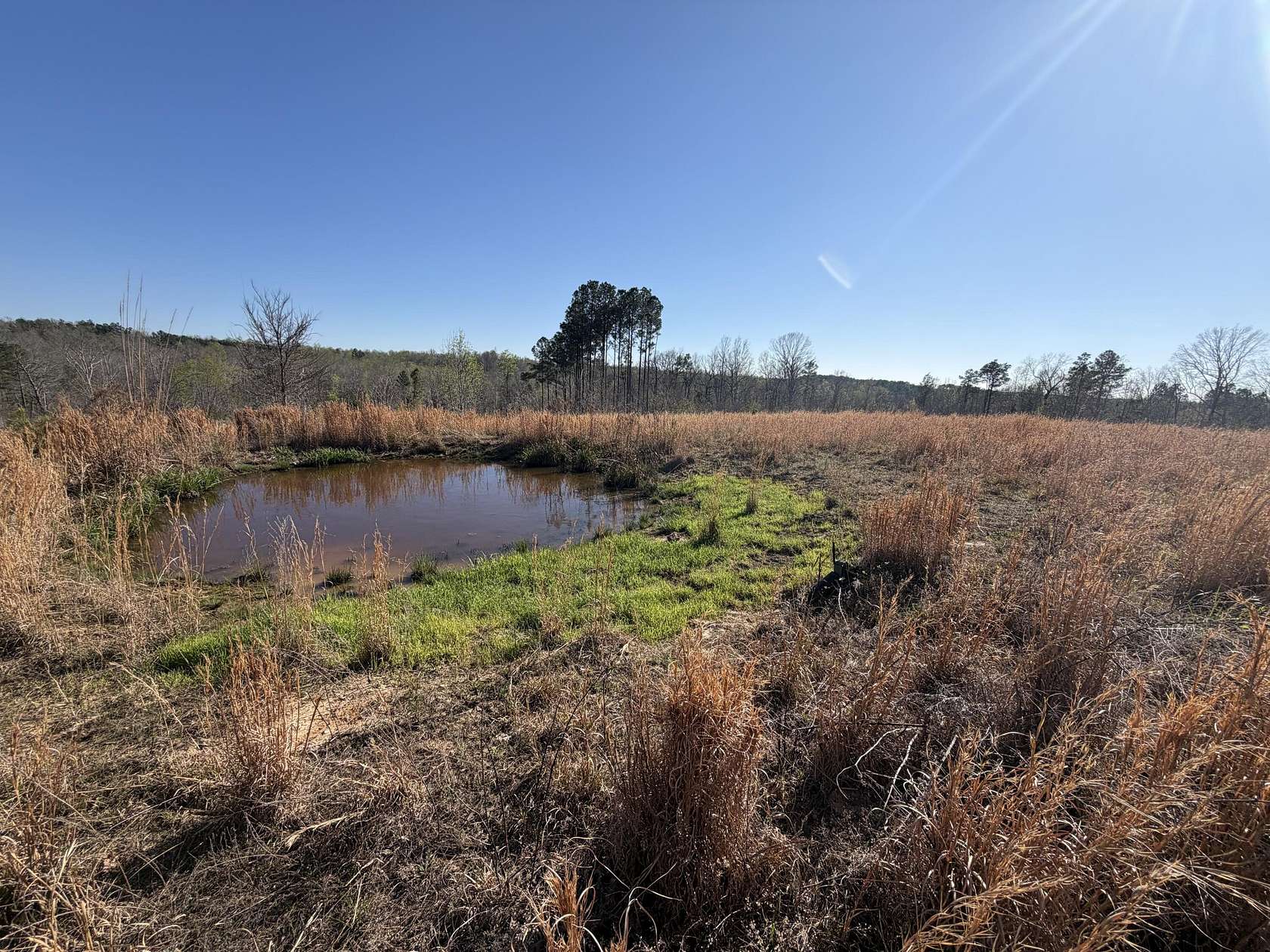 40.6 Acres of Recreational & Residential Land for Sale in Cadiz, Kentucky