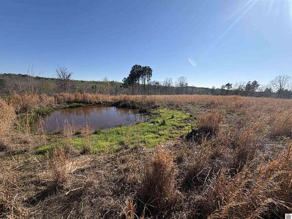 40.6 Acres of Recreational & Residential Land for Sale in Cadiz, Kentucky