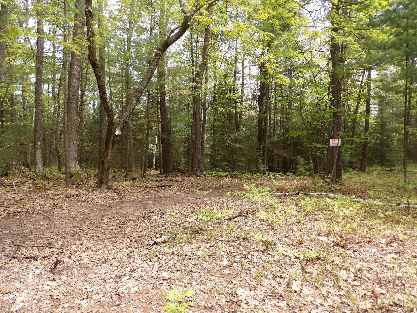 6.15 Acres of Residential Land for Sale in St. Helen, Michigan