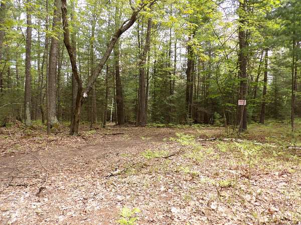 6.15 Acres of Residential Land for Sale in St. Helen, Michigan