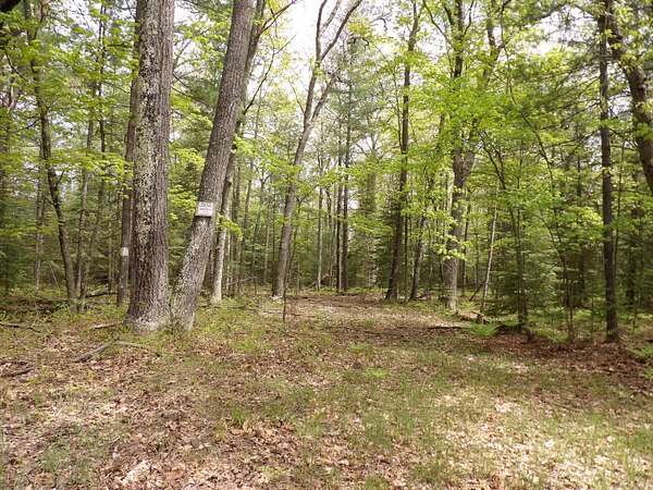 12.2 Acres of Land for Sale in St. Helen, Michigan