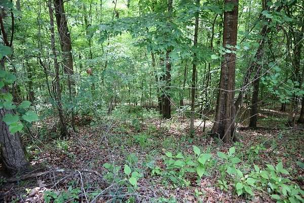 0.87 Acres of Land for Sale in Sparta, Georgia