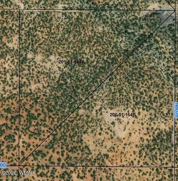 19.9 Acres of Land for Sale in Concho, Arizona