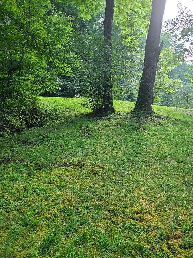8 Acres of Land for Sale in Franklin, North Carolina