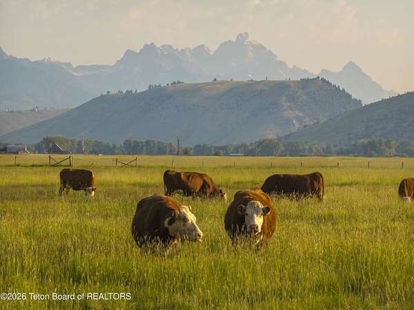 120 Acres of Land for Sale in Jackson, Wyoming