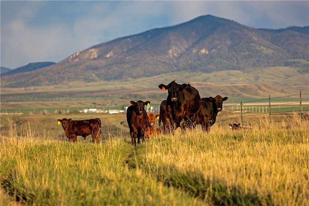 1,783 Acres of Land for Sale in Lewistown, Montana