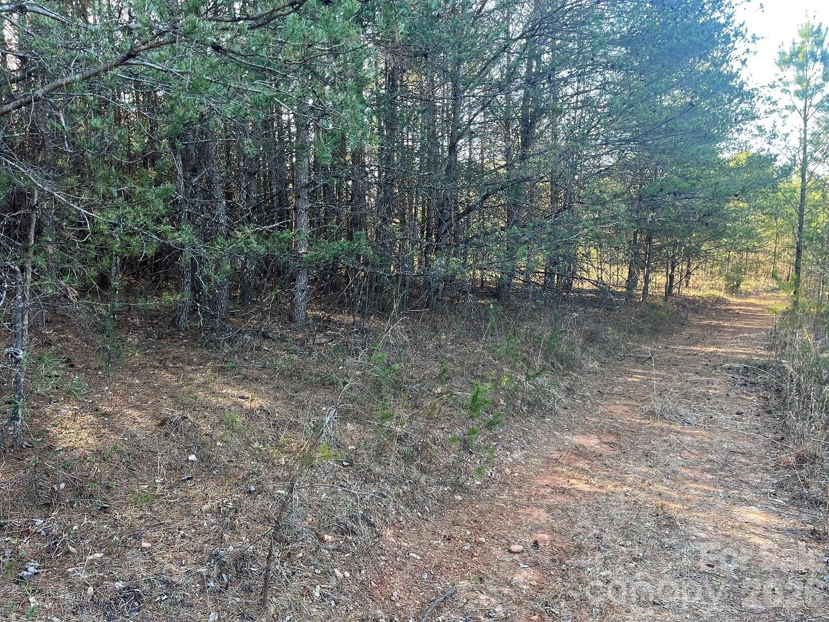 18 Acres of Recreational & Residential Land for Sale in Nebo, North Carolina
