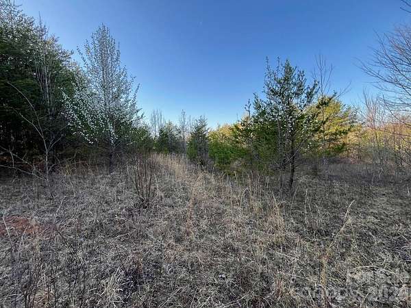 18 Acres of Recreational & Residential Land for Sale in Nebo, North Carolina