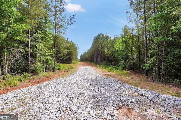 52.4 Acres of Recreational & Residential Land for Sale in Monticello, Georgia