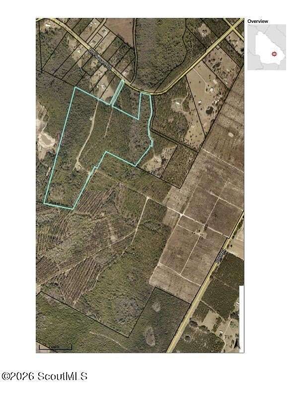 60 Acres of Land for Sale in Hortense, Georgia