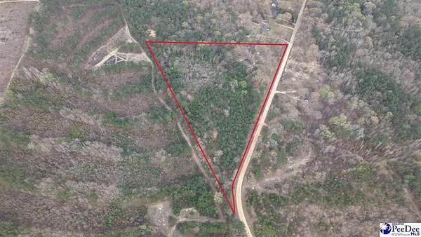 9.78 Acres of Residential Land for Sale in Hartsville, South Carolina