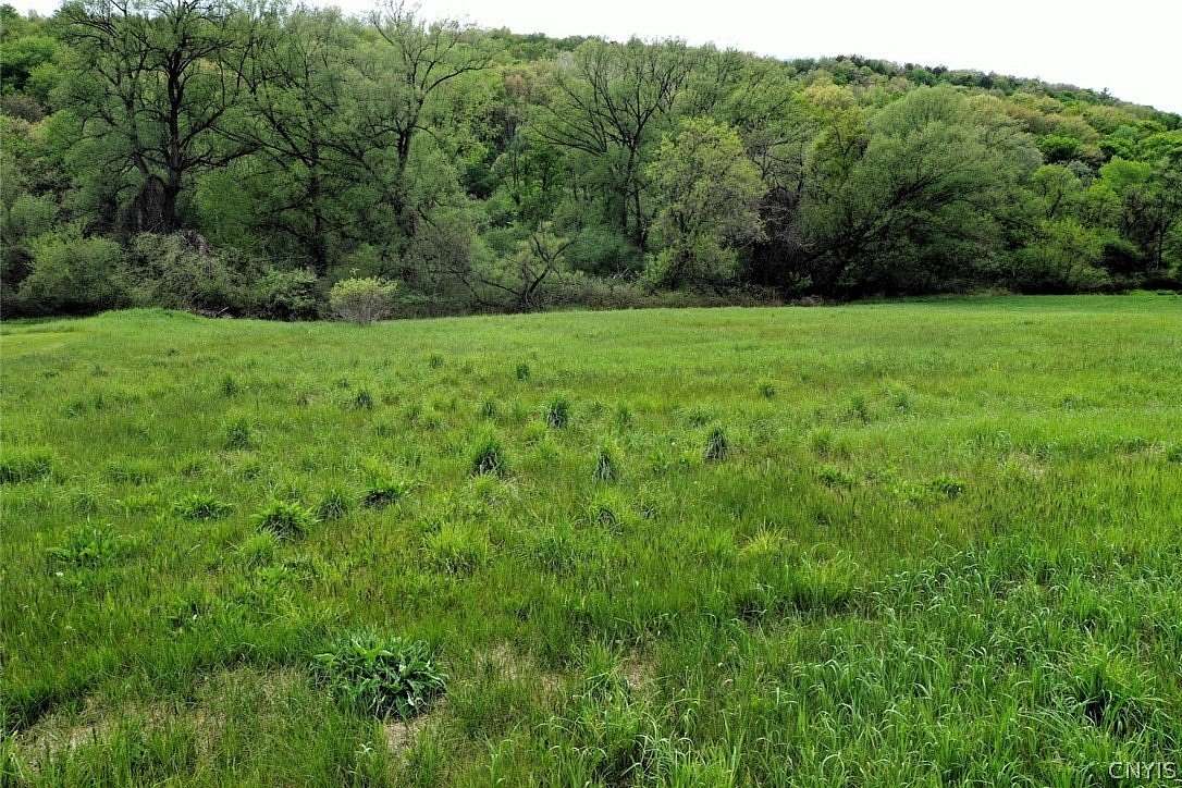 28.2 Acres of Recreational & Residential Land for Sale in Hornell, New York