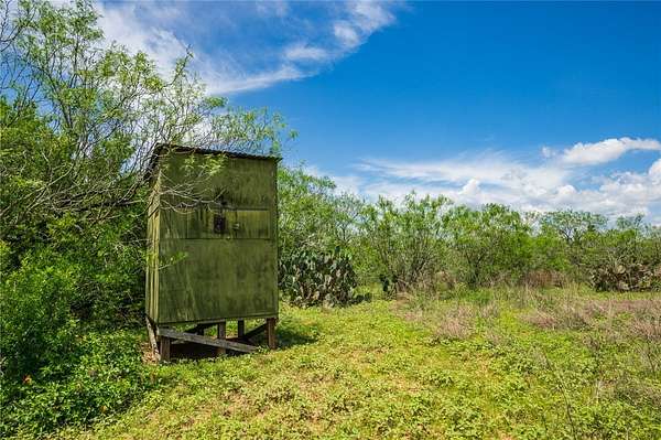 30 Acres of Recreational Land for Sale in Realitos, Texas