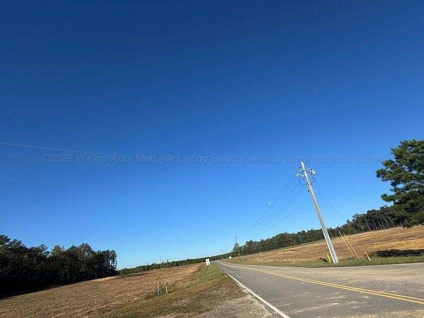 17.6 Acres of Commercial Land for Sale in Winfield, Alabama