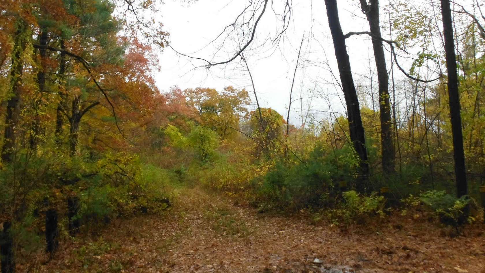 84 Acres of Recreational & Residential Land for Sale in Sturbridge, Massachusetts