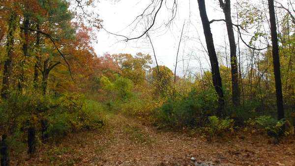 84 Acres of Recreational & Residential Land for Sale in Sturbridge, Massachusetts