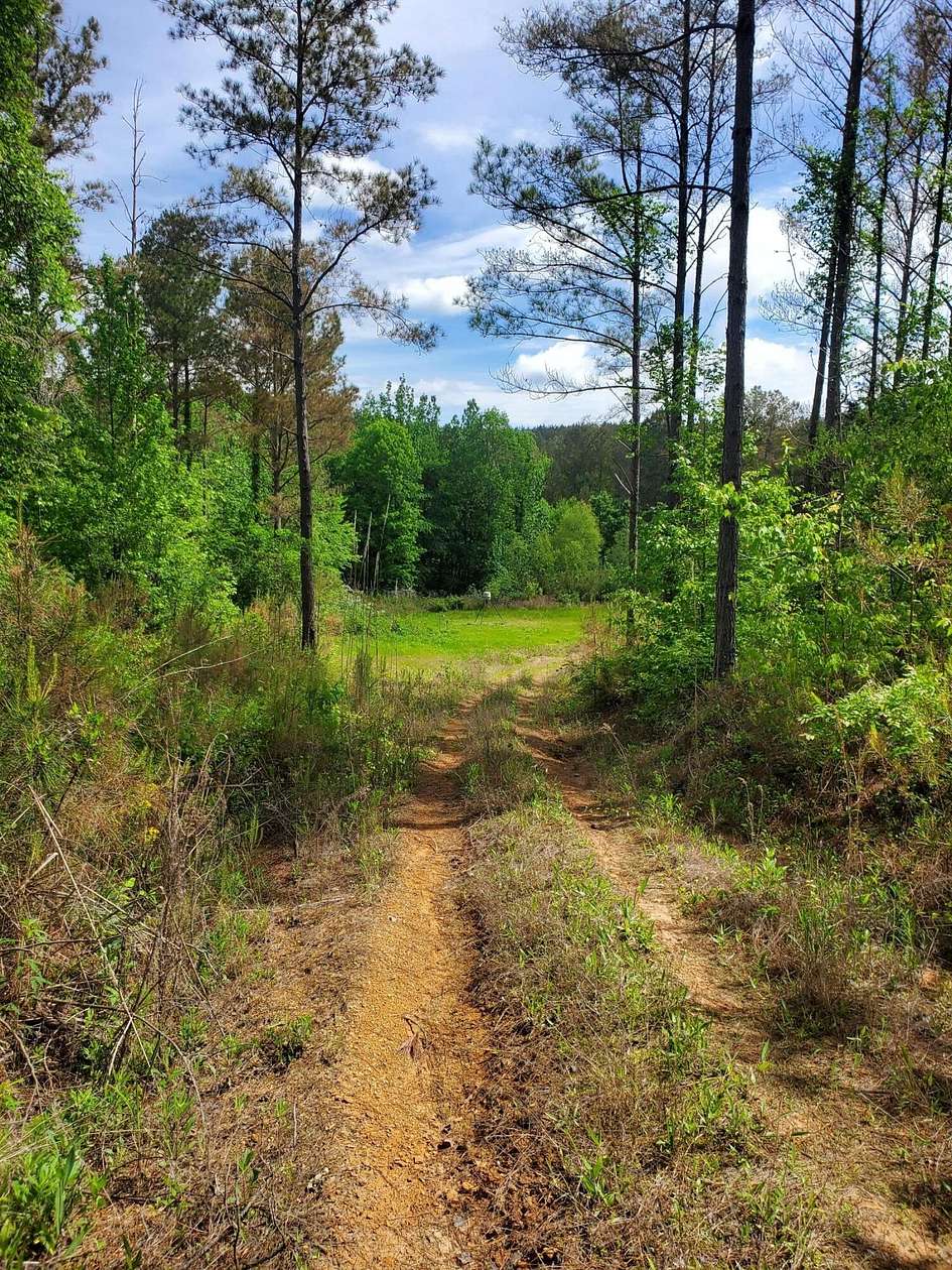 95 Acres of Recreational & Residential Land for Sale in Greenwood Springs, Mississippi