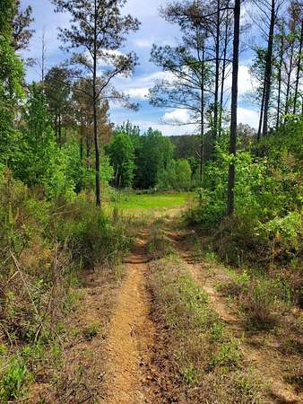 95 Acres of Recreational & Residential Land for Sale in Greenwood Springs, Mississippi