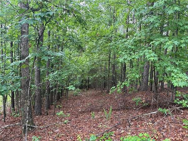 22.6 Acres of Land for Sale in Salem, Alabama