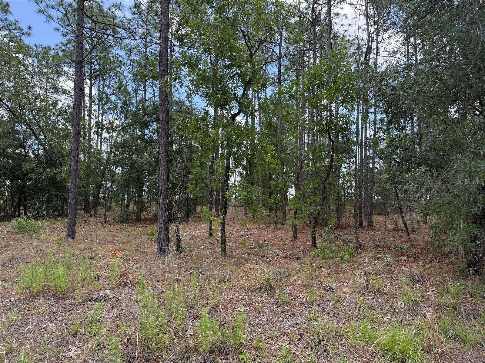 0.33 Acres of Residential Land for Sale in Dunnellon, Florida