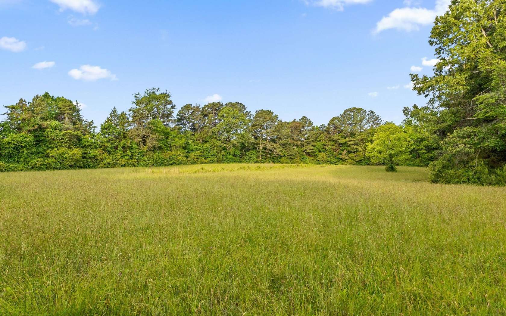 33.4 Acres of Land for Sale in Ooltewah, Tennessee