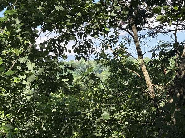 2.5 Acres of Residential Land for Sale in Beersheba Springs, Tennessee