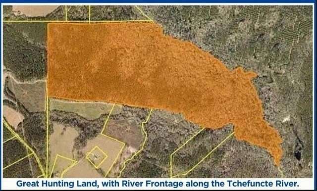 220 Acres of Recreational Land for Sale in Kentwood, Louisiana