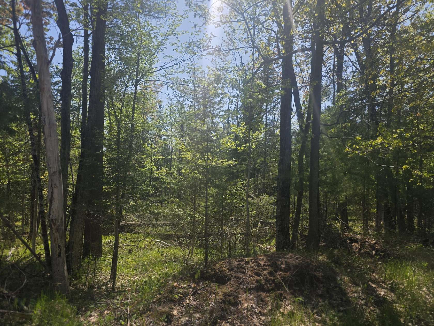 3.33 Acres of Land for Sale in Harrisville, Michigan