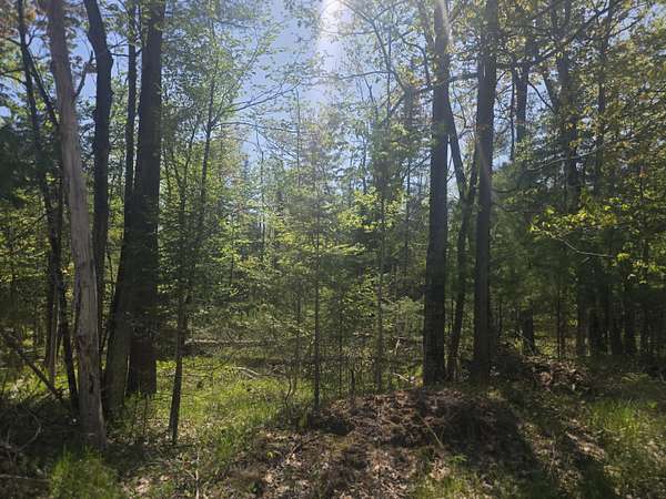 3.33 Acres of Land for Sale in Harrisville, Michigan