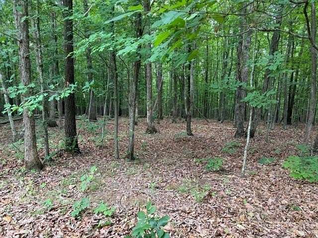 21 Acres of Recreational & Residential Land for Sale in Gladstone, Virginia