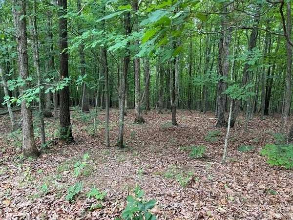 21 Acres of Recreational & Residential Land for Sale in Gladstone, Virginia