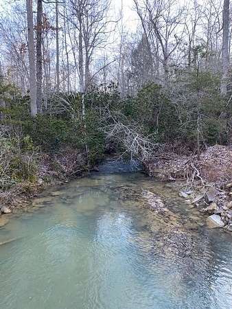 400 Acres of Recreational & Residential Land for Sale in Deer Lodge, Tennessee