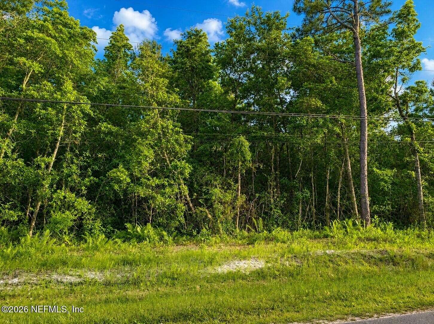 1.15 Acres of Residential Land for Sale in Middleburg, Florida