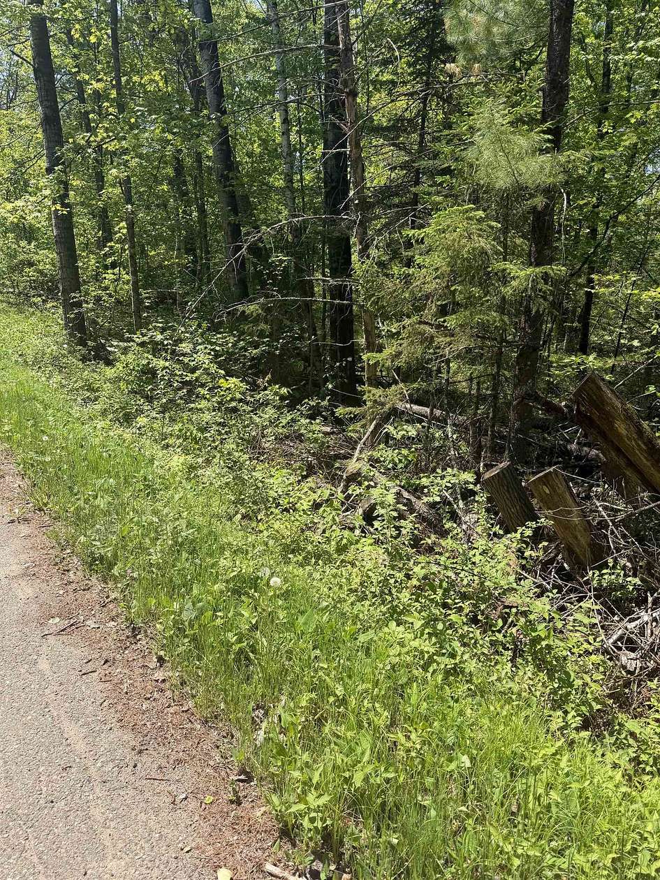 3 Acres of Residential Land for Sale in Mountain, Wisconsin