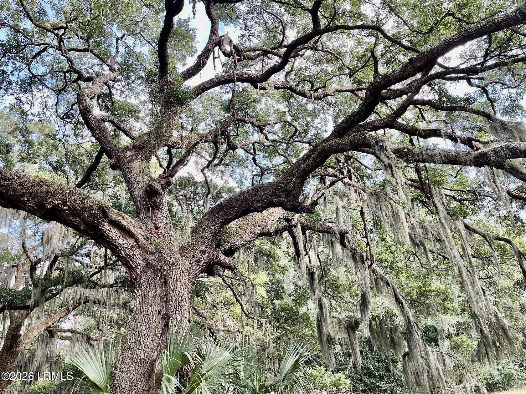 0.94 Acres of Residential Land for Sale in Saint Helena Island, South Carolina