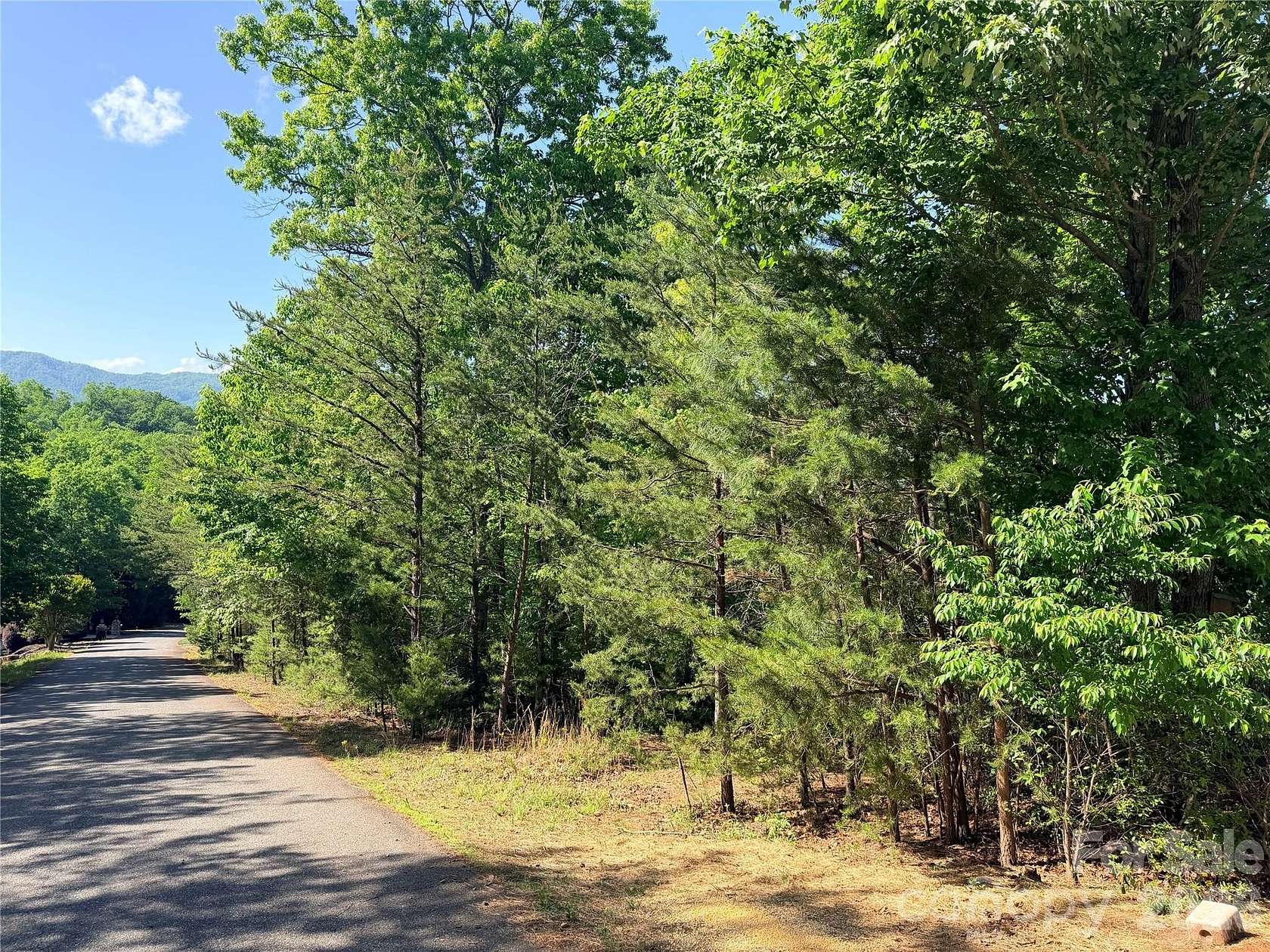 0.5 Acres of Residential Land for Sale in Lake Lure, North Carolina