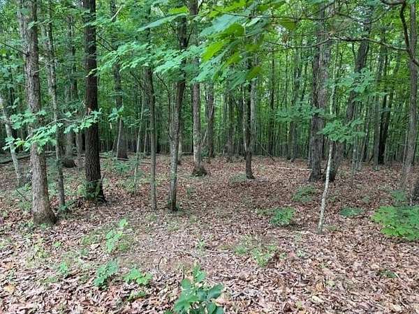 21.1 Acres of Recreational & Residential Land for Sale in Gladstone, Virginia