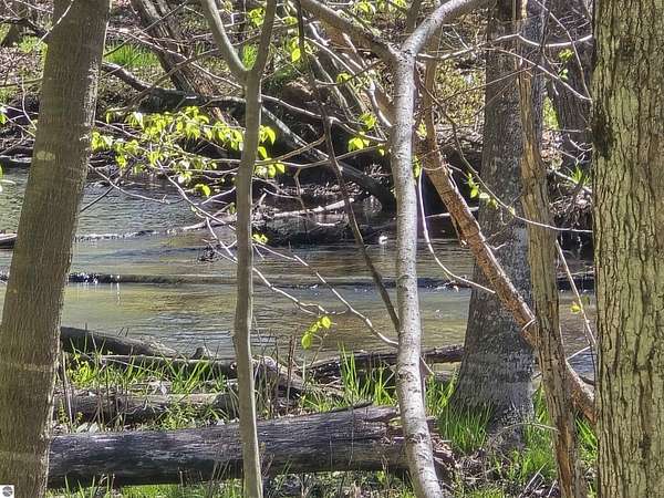 2 Acres of Land for Sale in Evart, Michigan