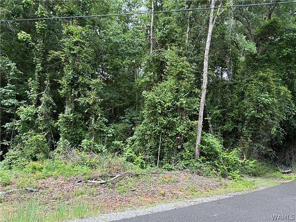 0.65 Acres of Residential Land for Sale in Cottondale, Alabama