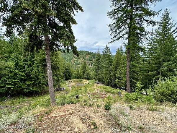 5 Acres of Land for Sale in Kingston, Idaho
