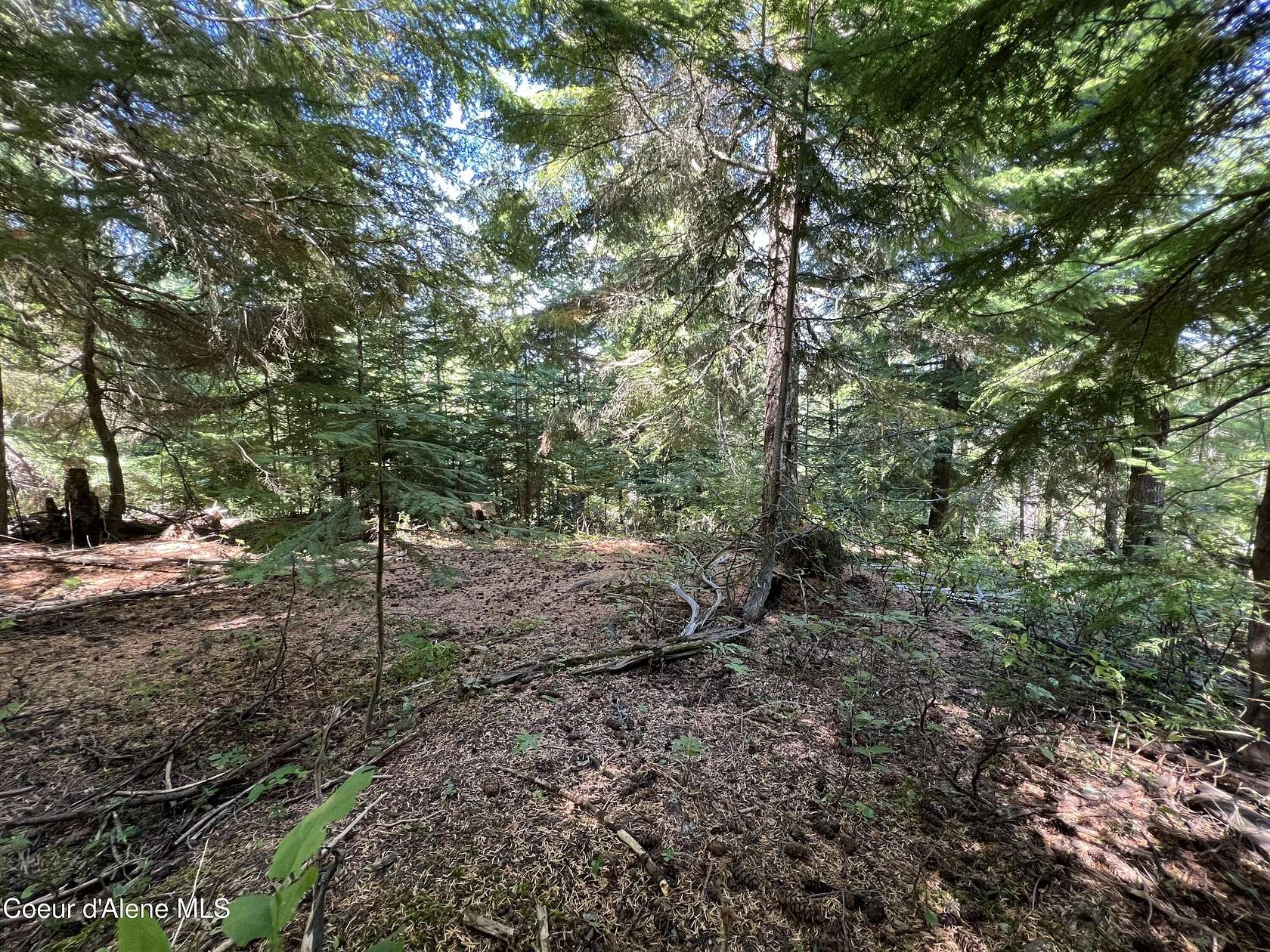 5.8 Acres of Residential Land for Sale in Fernwood, Idaho