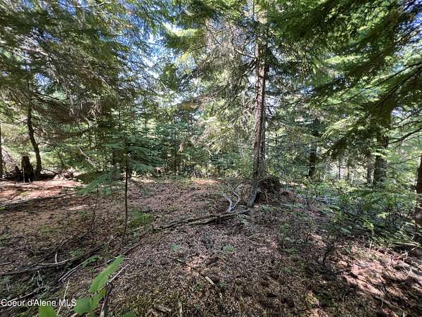 5.8 Acres of Residential Land for Sale in Fernwood, Idaho