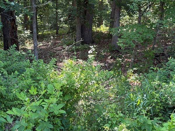 0.37 Acres of Residential Land for Sale in Bella Vista, Arkansas