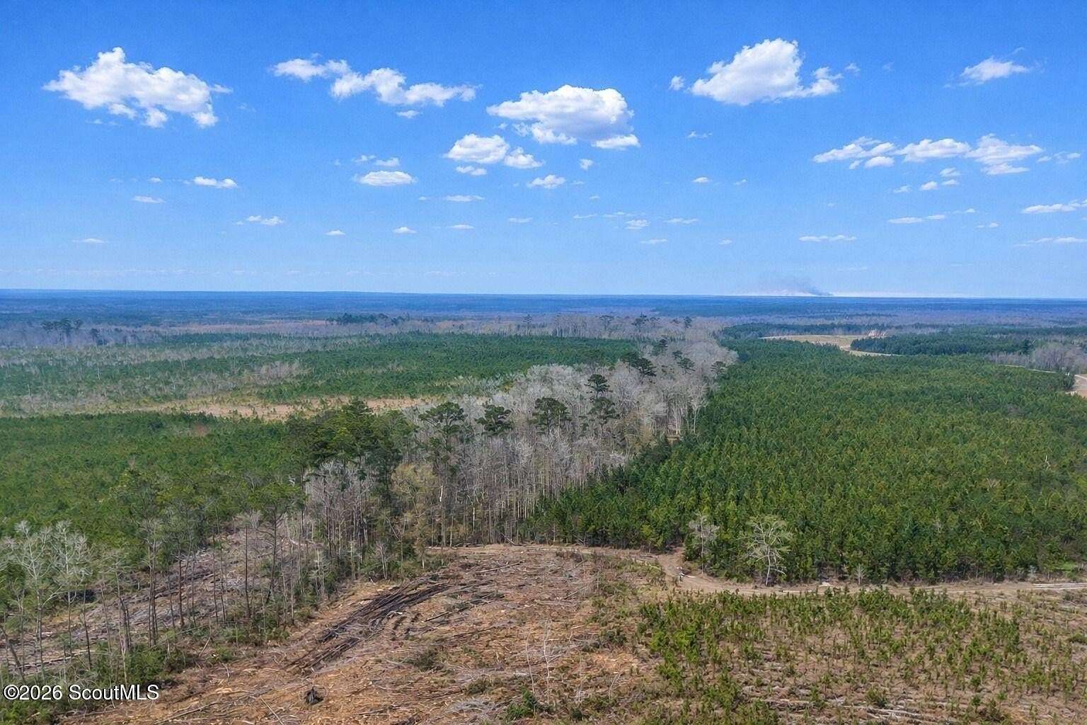 1,013 Acres of Recreational Land for Sale in Glennville, Georgia