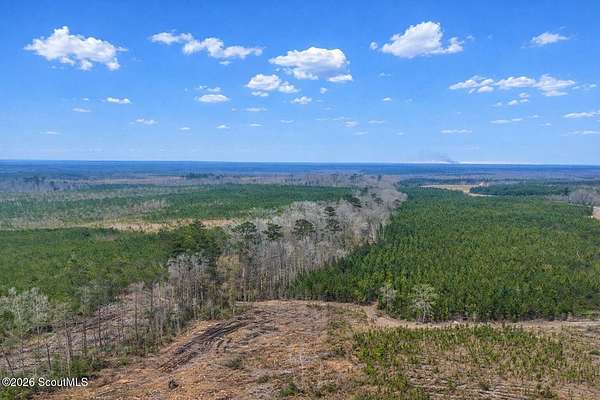 1,013 Acres of Recreational Land for Sale in Glennville, Georgia