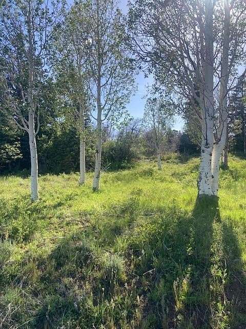 1 Acre of Residential Land for Sale in Kanarraville, Utah