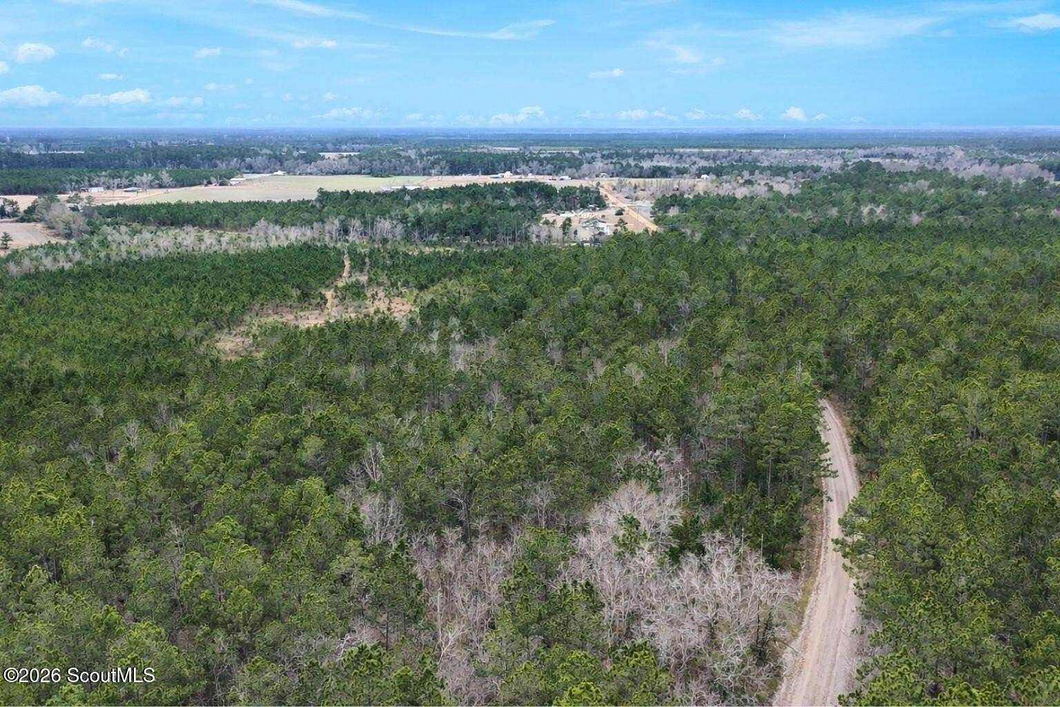 17.8 Acres of Land for Sale in Odum, Georgia