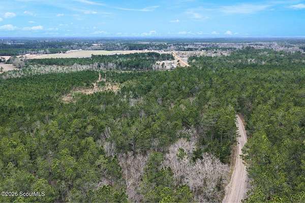 17.8 Acres of Land for Sale in Odum, Georgia