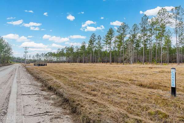 9.4 Acres of Agricultural Land for Sale in Brooklet, Georgia